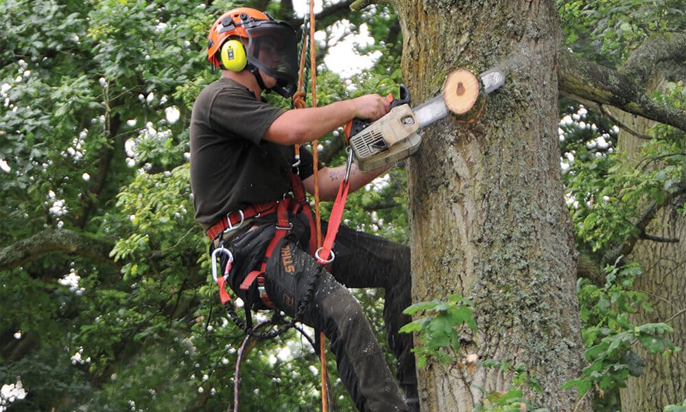 arborist-communications