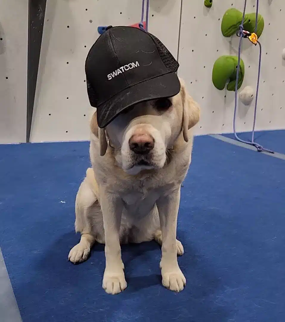 Blind Climbers Dog Wearing SWATCOM Hat